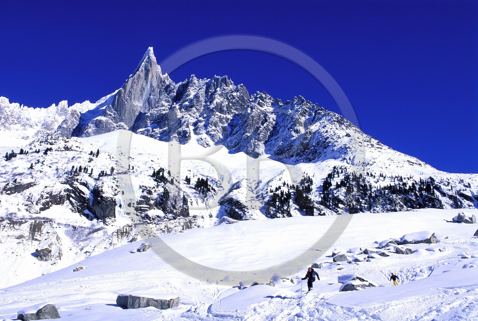 France, Haute-Savoie (74), vallée de Chamonix, skieur sur la Mer de glace aux pied de l'Aiguille verte dans la Vallée Blanche, Mont-Blanc
