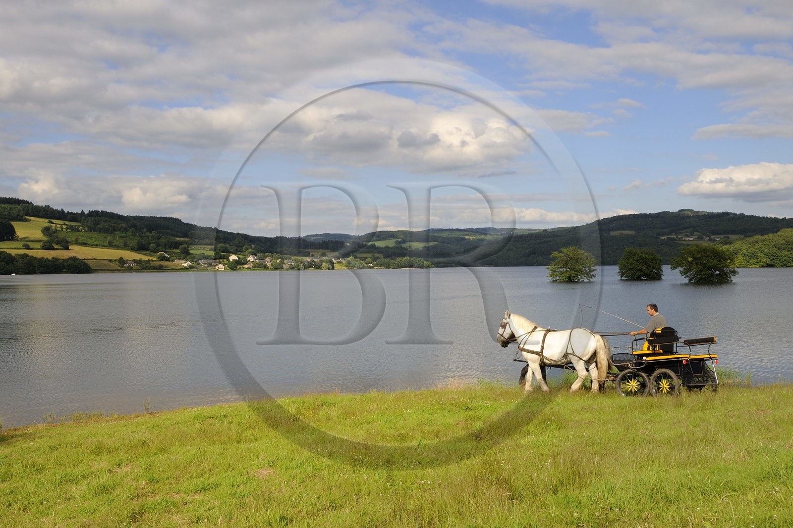 France, Nièvre (58), lac de Pannecière, Alain Perruchot agriculteur et éleveur de chevaux au commande de son attelage