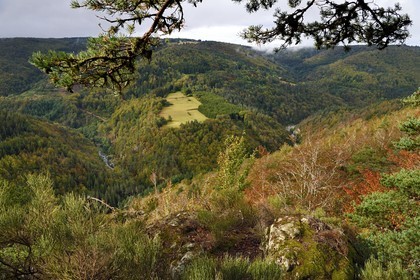 France, Ardèche (07), parc naturel régional des Monts d'Ardèche, massif du Mézenc, forêt de Lac-d'Issarlès, belvédère de Rang Goutier au sommet de Montchamp, point de vue panoramique sur la vallée de la Loire