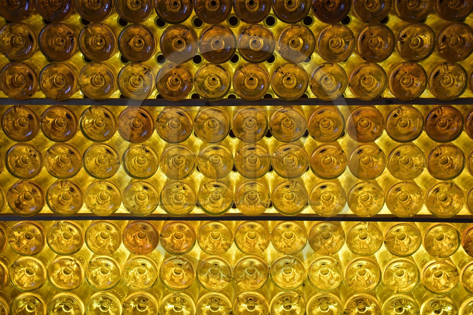 France, Dordogne, Purple Perigord, the castle of Monbazillac, the wine museum in the cellars to discover the world of wine