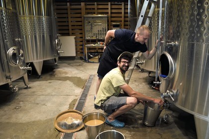 France, Bas-Rhin (67), Route des vins d'Alsace, Scherwiller, domaine viticole Achillée en biodynamie dans un batiment de construction entièrement naturelle, Jean Dietrich fait un débourbage de ses cuves