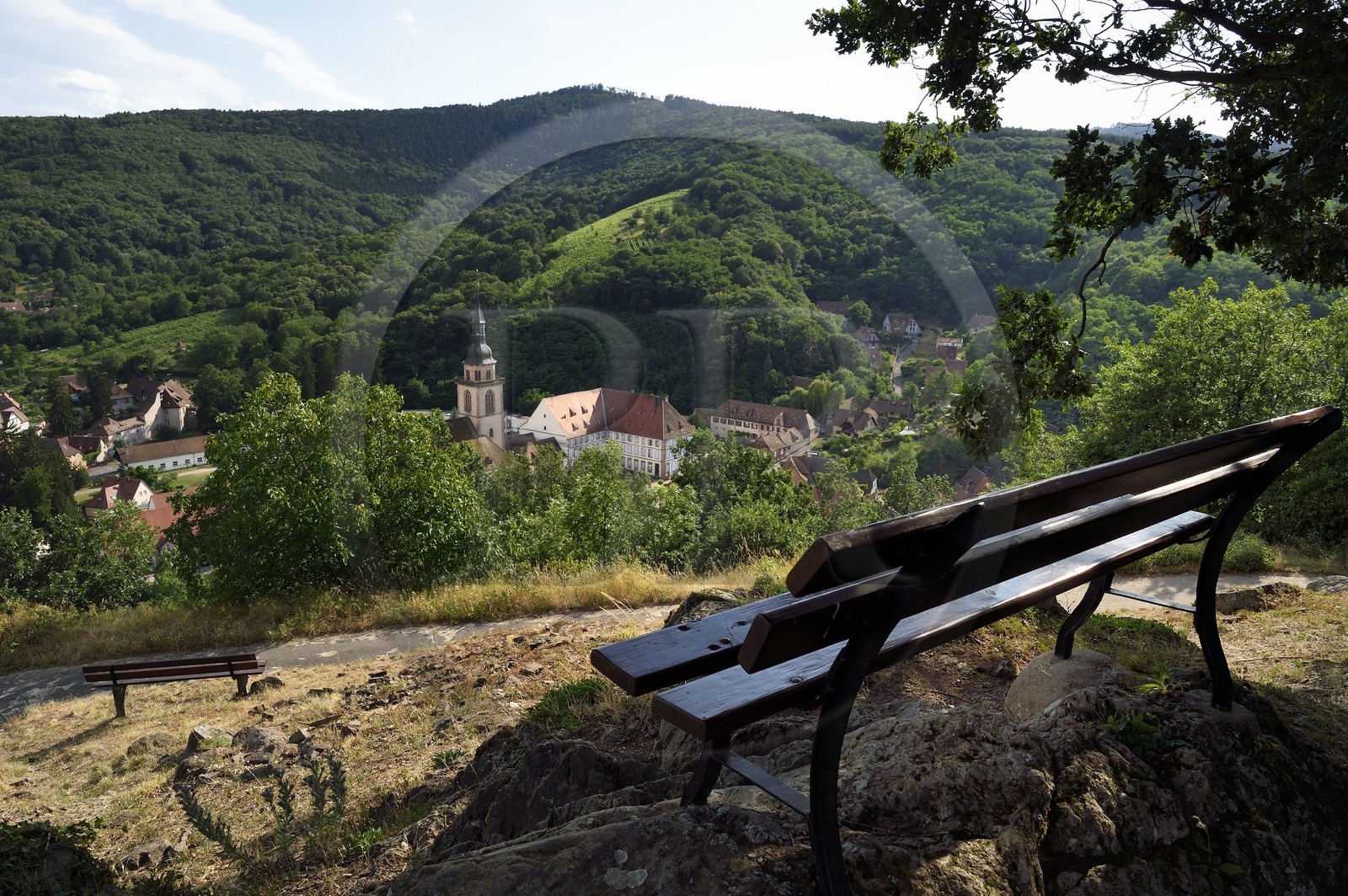 France, Bas-Rhin (67), Route des vins d'Alsace, Andlau, point de vue sur le village et  l'église abbatiale Saint-Pierre-et-Saint-Paul (XIème-XVIIIème siècles)