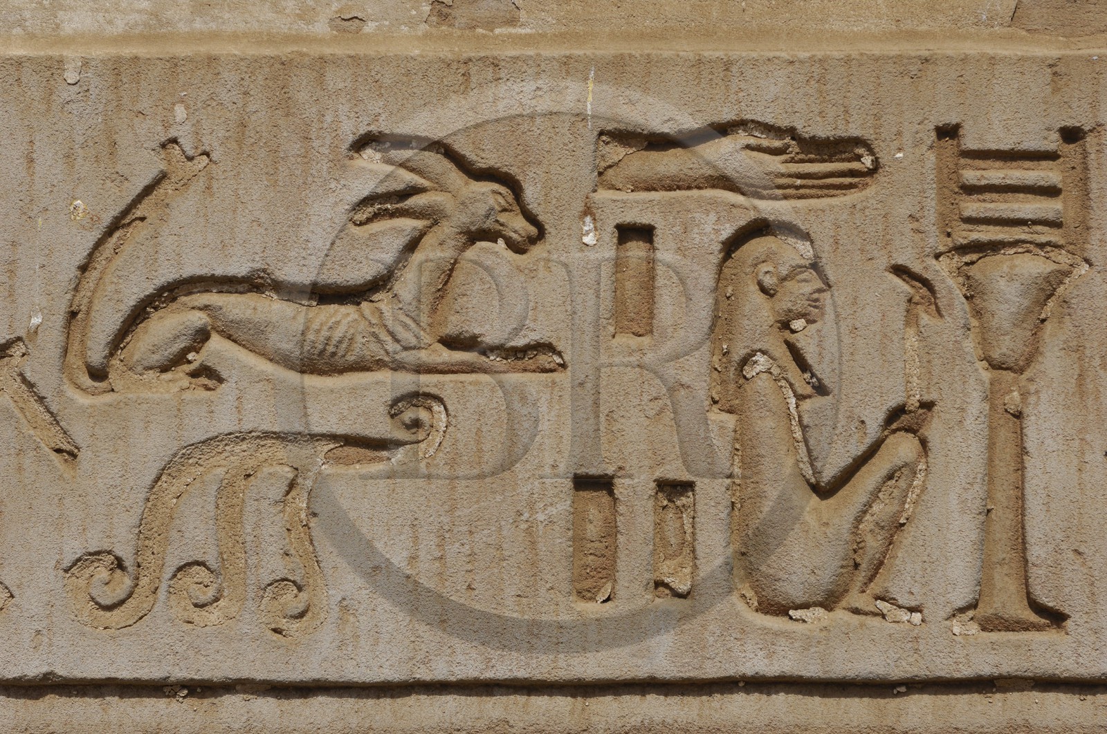Egypt, Upper Egypt, Nile Valley, Kom Ombo Temple dedicated to Sobek, the god with a crocodile's head, hieroglyphics