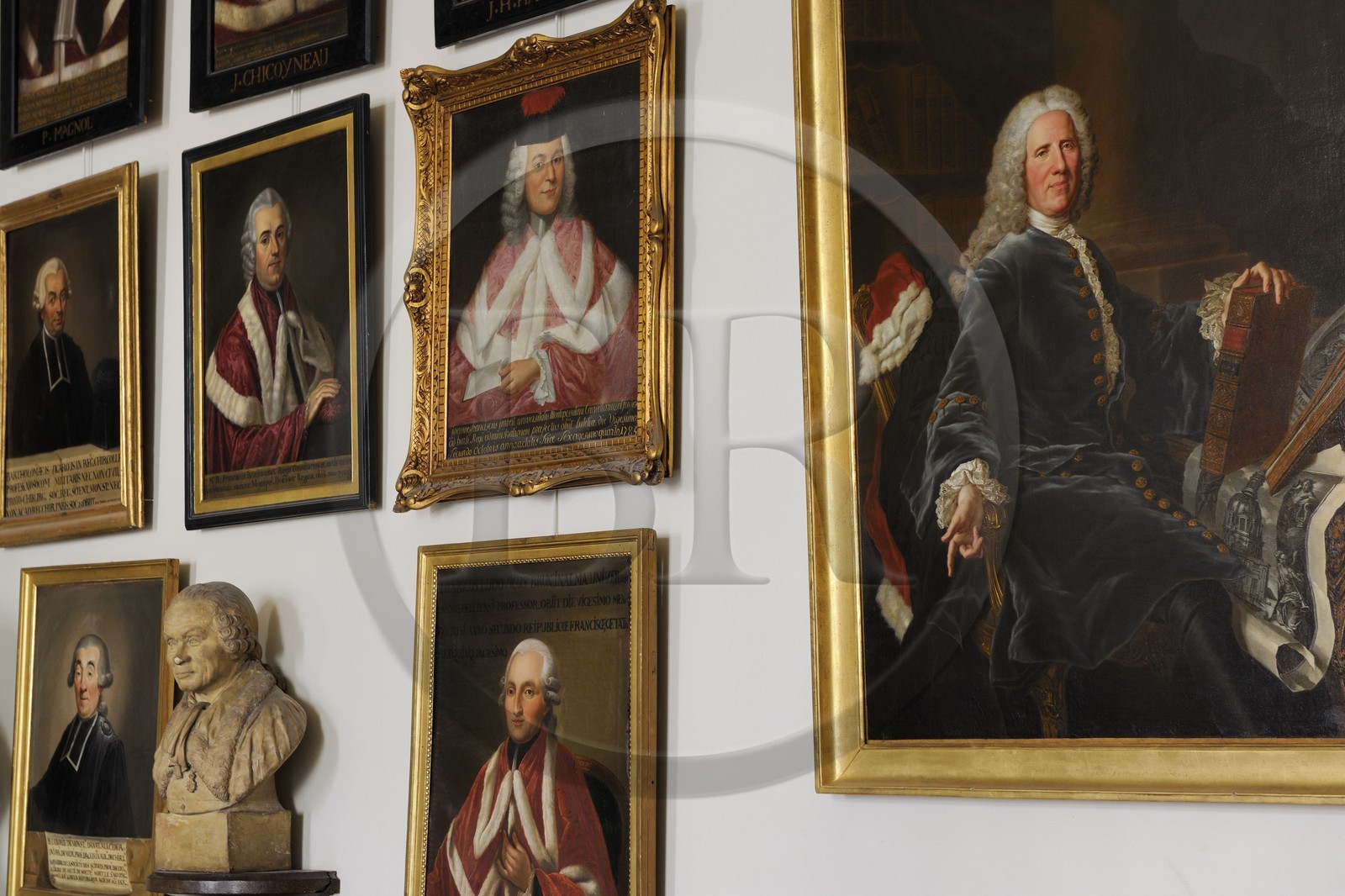 France, Herault, Montpellier, historical center, Medecine University, Council room
