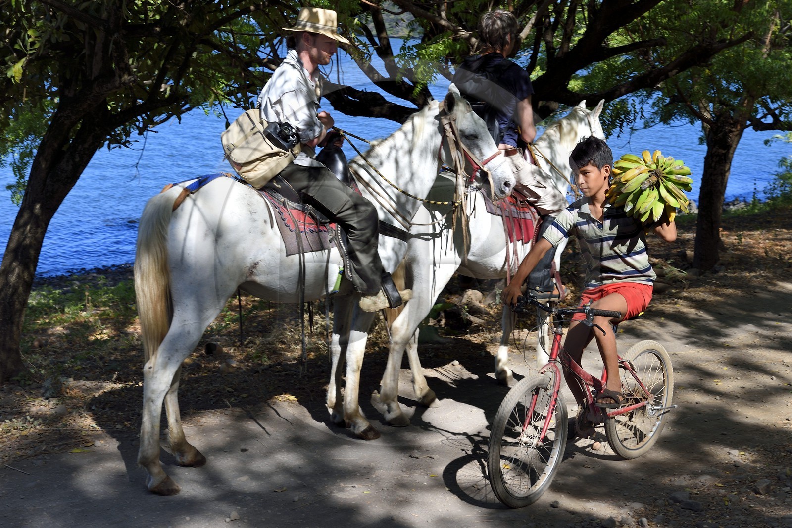Nicaragua, Ometepe Island in Lake Nicaragua, riders along the lake and young cyclist carrying a bunch of bananas