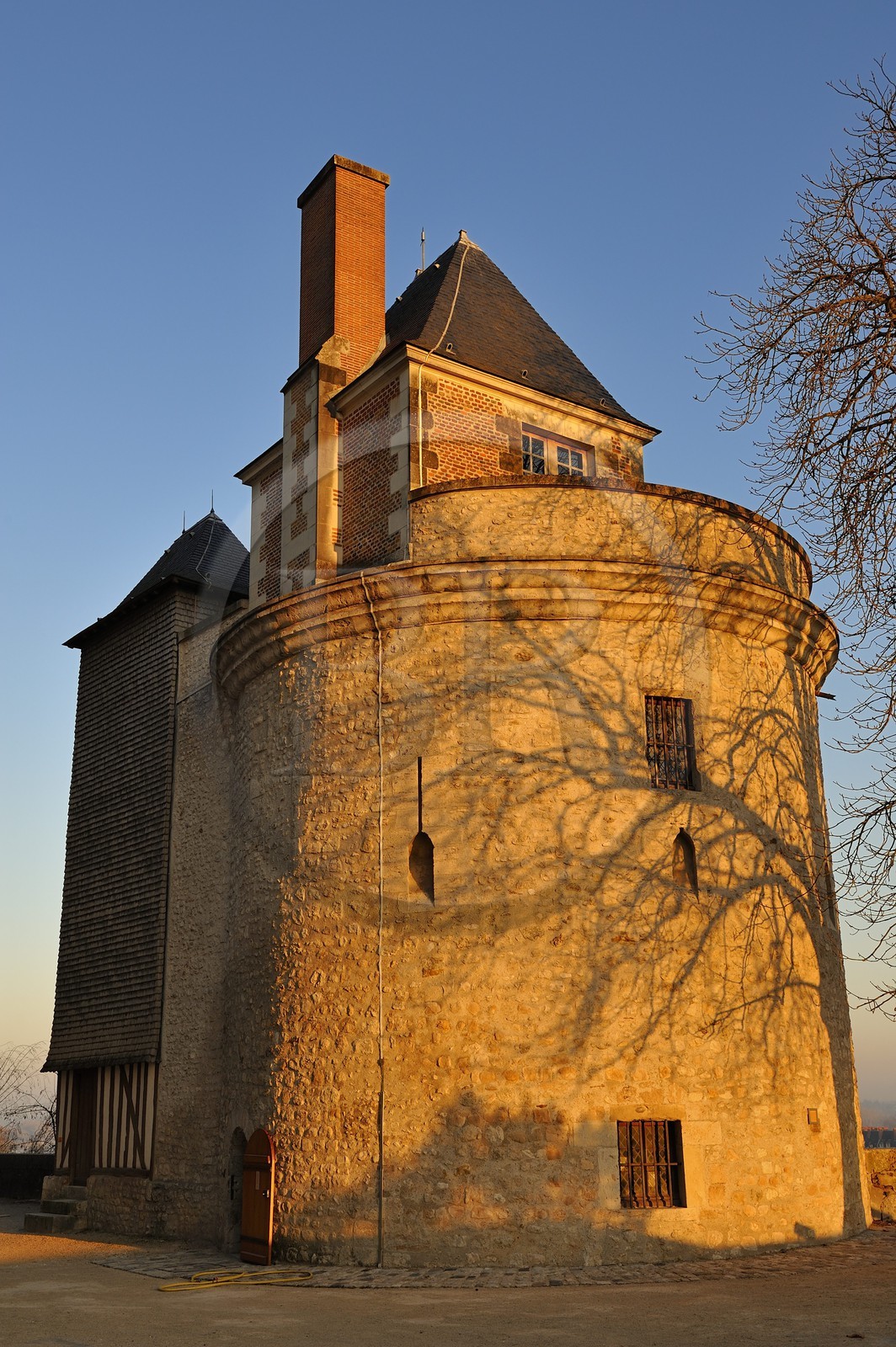 France, Loir et Cher, Loire Valley listed as World Heritage by UNESCO, Chateau de Blois, the Tour du Foix