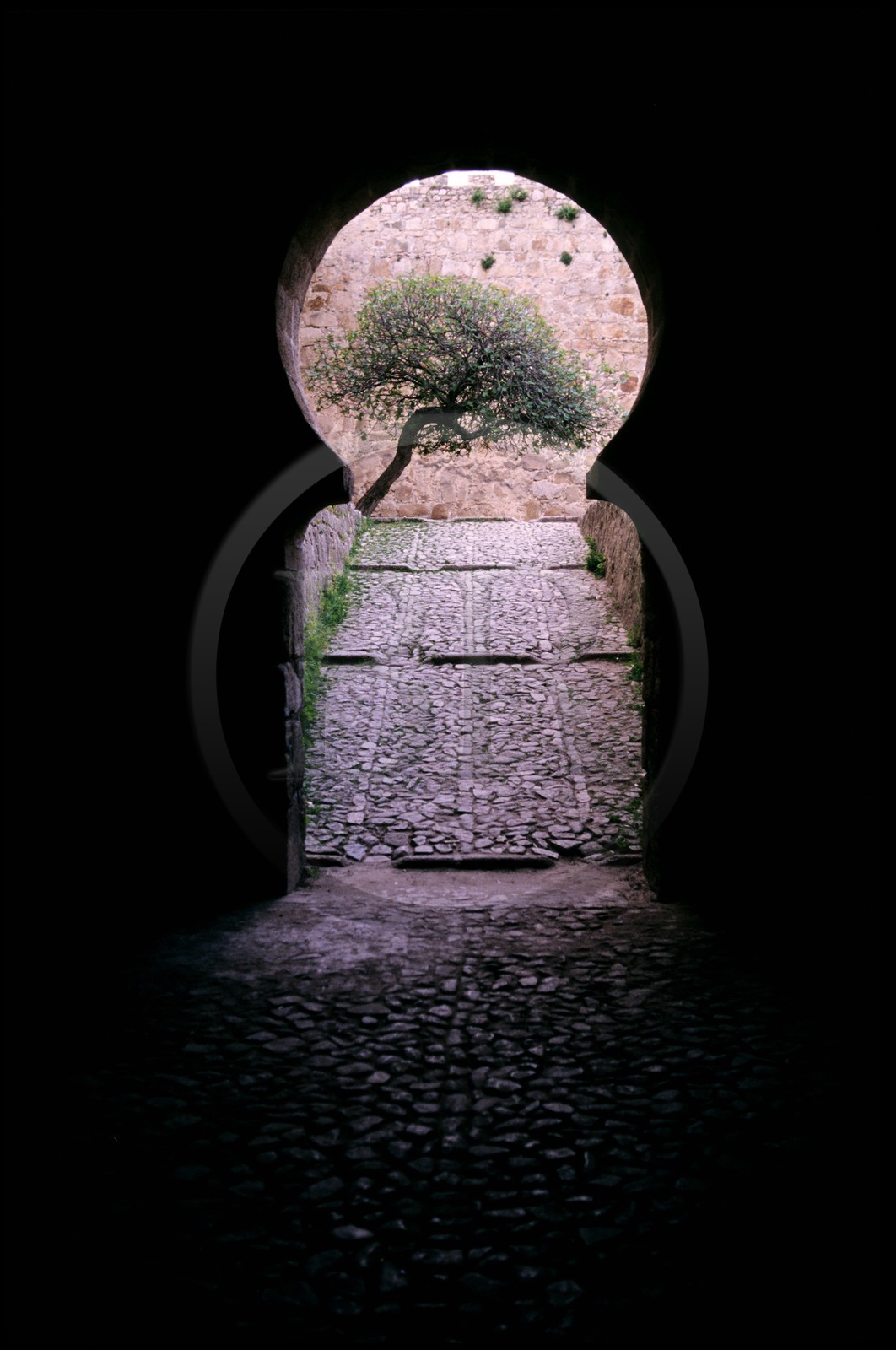 Spain, Estrémadura, Trujillo, door inside the castle
