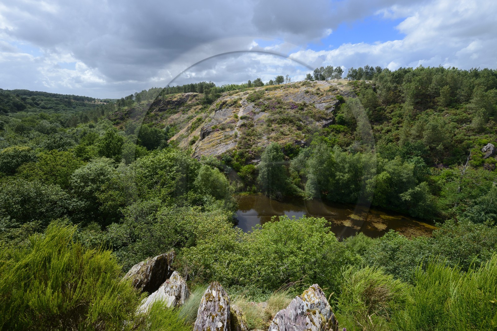 France, Morbihan (56), forêt de Brocéliande, Tréhorenteuc, la Mare aux Fées du Val sans Retour où selon la légende la Fée Morgane retenait ses amants infidèles
