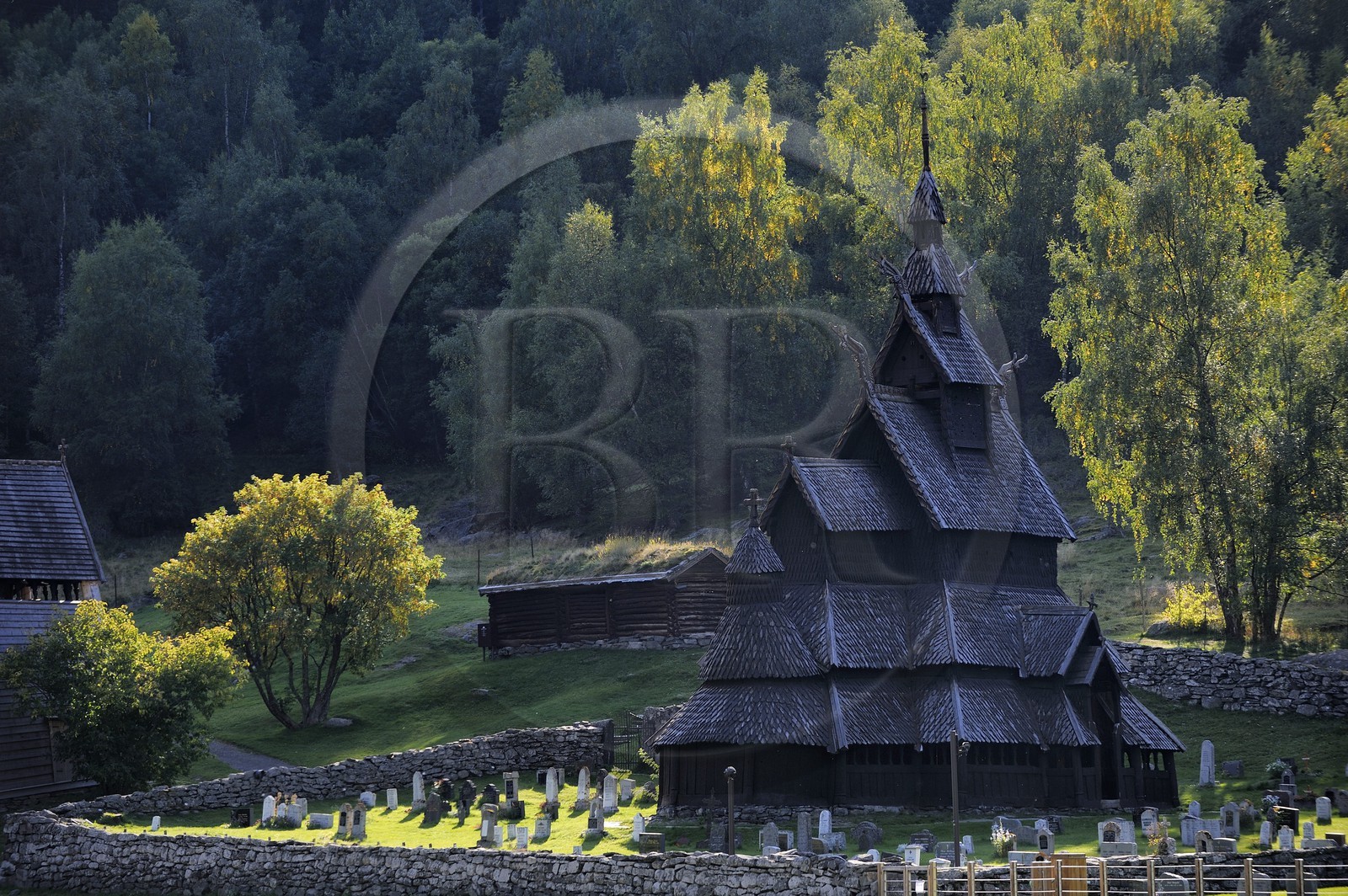 Norvège, comté de Sogn Og Fjordane, église en bois debout ou stavkirke (1130) de Borgund aux motifs vikings de l’ère pré-chrétienne