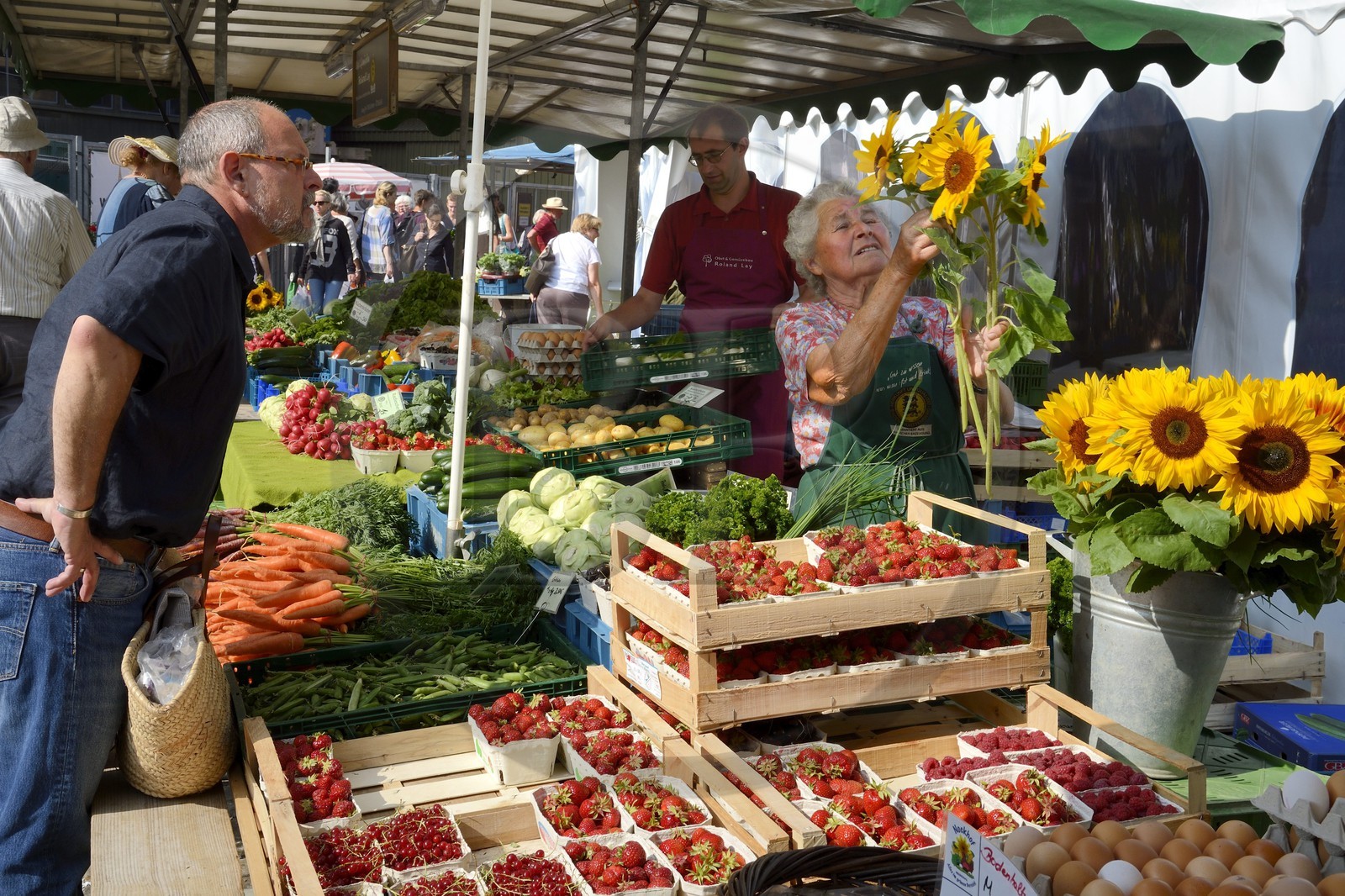 Allemagne, Bade-Wurtemberg, Fribourg en Brisgau, jour de marché sur la Munsterplatz