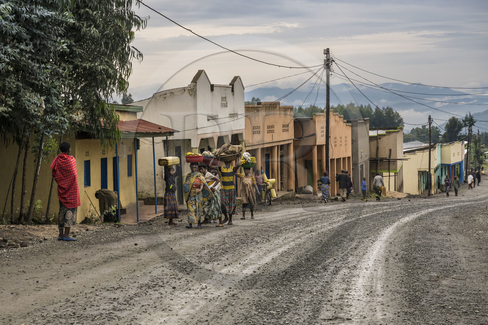 Rwanda, Province du Nord, District de Musanze (Ruhengeri), hameau de Garuka et les montagnes des Virunga en arrière plan