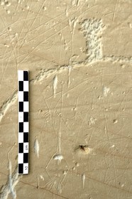 France, Alpes-Maritimes (06), parc national du Mercantour, Vallée des Merveilles parsemée de milliers de gravures rupestres de l'Age de bronze, dalles de schiste jaune des chiappes, gravures liniéaire anthropomorphe inglobé dans une figure corniforme d'un homme avec son épée accroché au fourreau