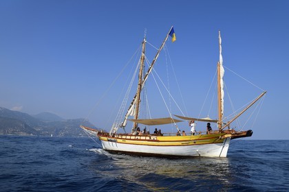France, Alpes-Maritimes (06), Saint-Jean-Cap-Ferrat, sortie en mer sur le bateau Santo Sospir avec l'association SOS Grand Bleu pour l'observation des dauphins et des baleines dans le Sanctuaire Pelagos