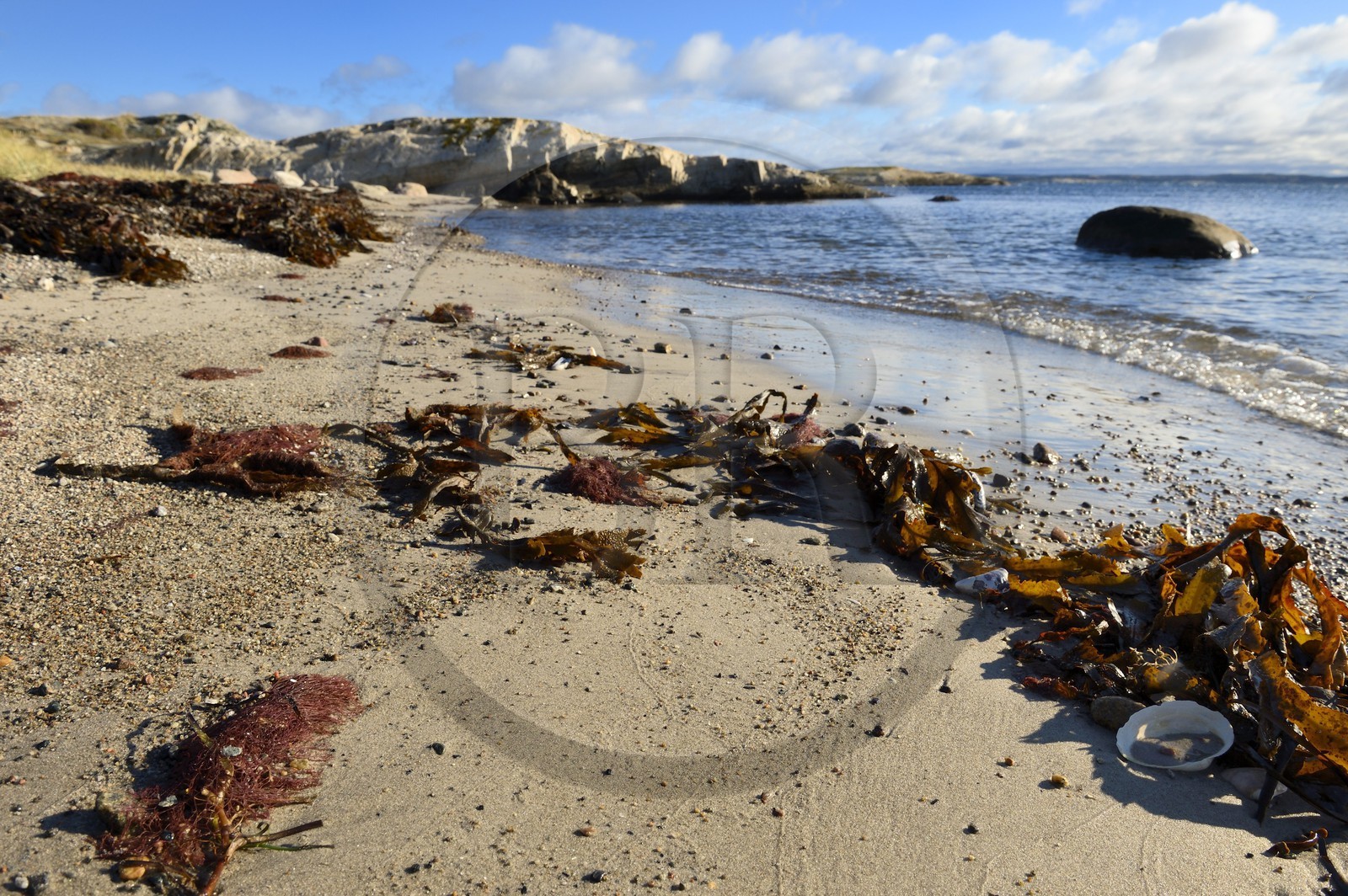 Suède, Västra Götaland, Iles Koster, plage de sable de Sydkoster