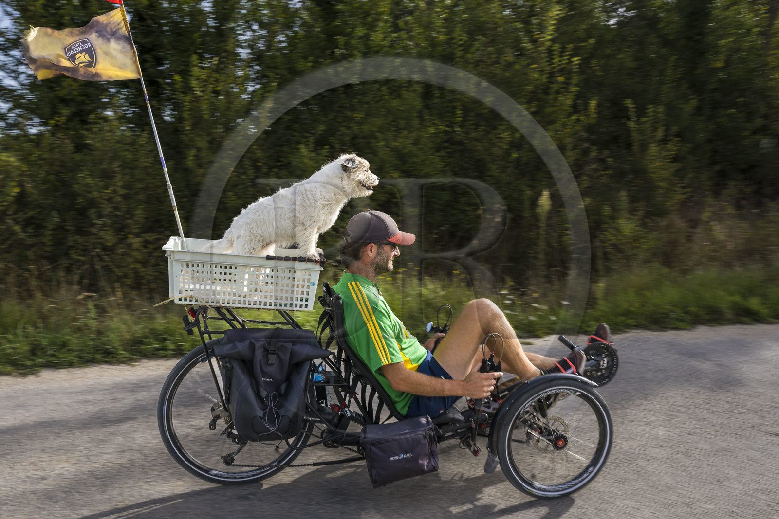 France, Charente-Maritime (17), Ile d'Oléron, Saint-Pierre-d'Oléron, hameau de La Coindrie, cycliste avec son chien sur un tricycle couché