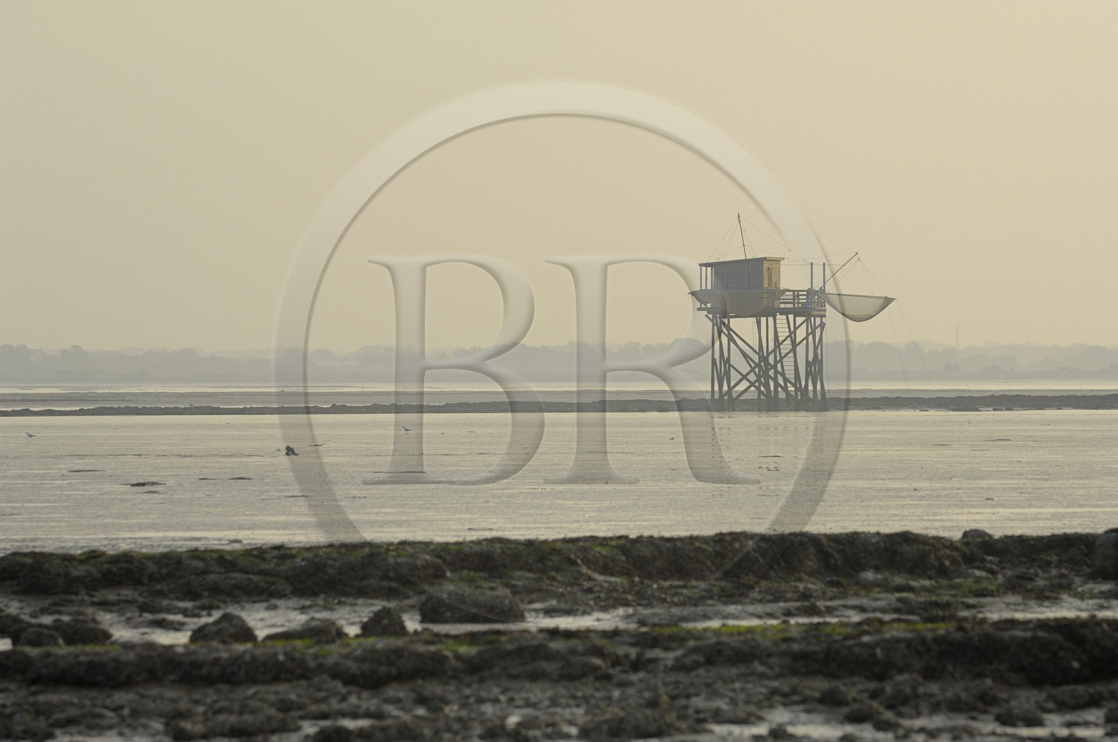 France, Charente-Maritime (17), Ile Madame, carrelets sur la côte