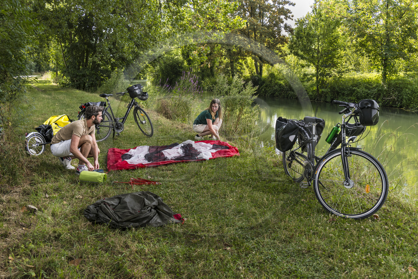 France, Deux-Sèvres (79), le Marais Poitevin, la Venise Verte, Magné, randonnée à bicyclette, installation du campement pour la nuit le long de la Sèvre Niortaise