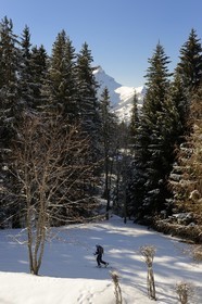 Suisse, Canton de Vaud, Villars sur Ollon