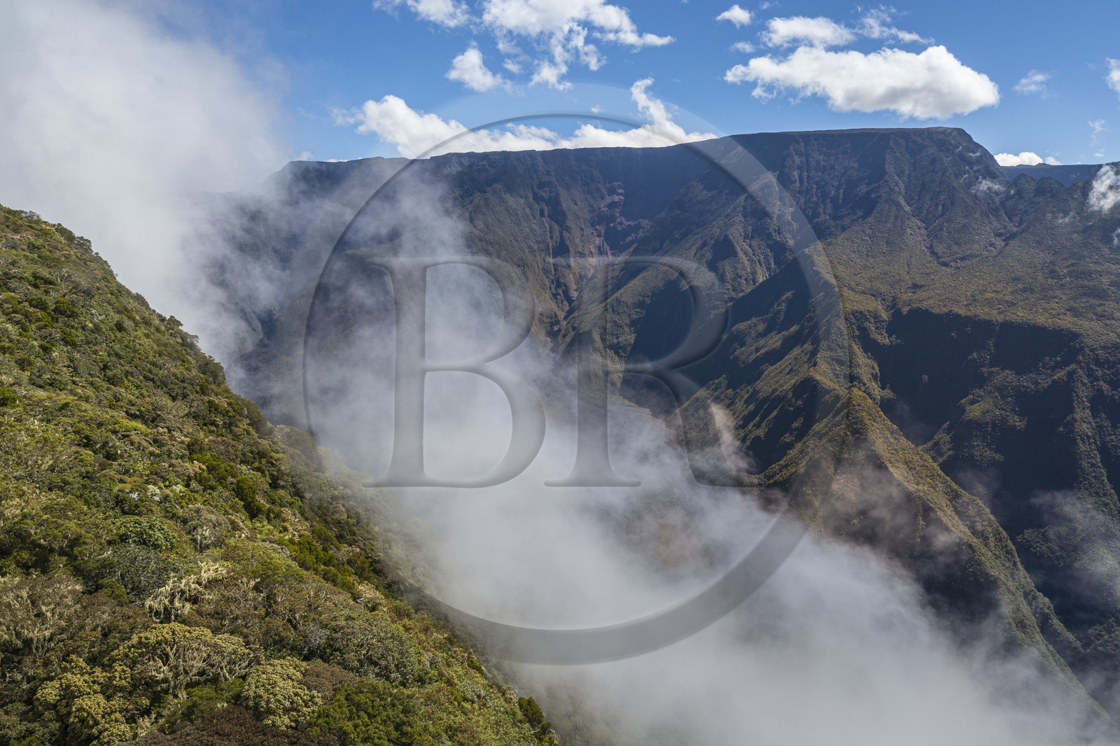 France, Ile de la Reunion, Parc National de la Réunion classé Patrimoine Mondial de l'UNESCO, volcan du Piton de la Fournaise en arrière plan, Foret des Hauts de Mont-Vert au dessus de la vallée de la Rivière des Remparts (vue aérienne)