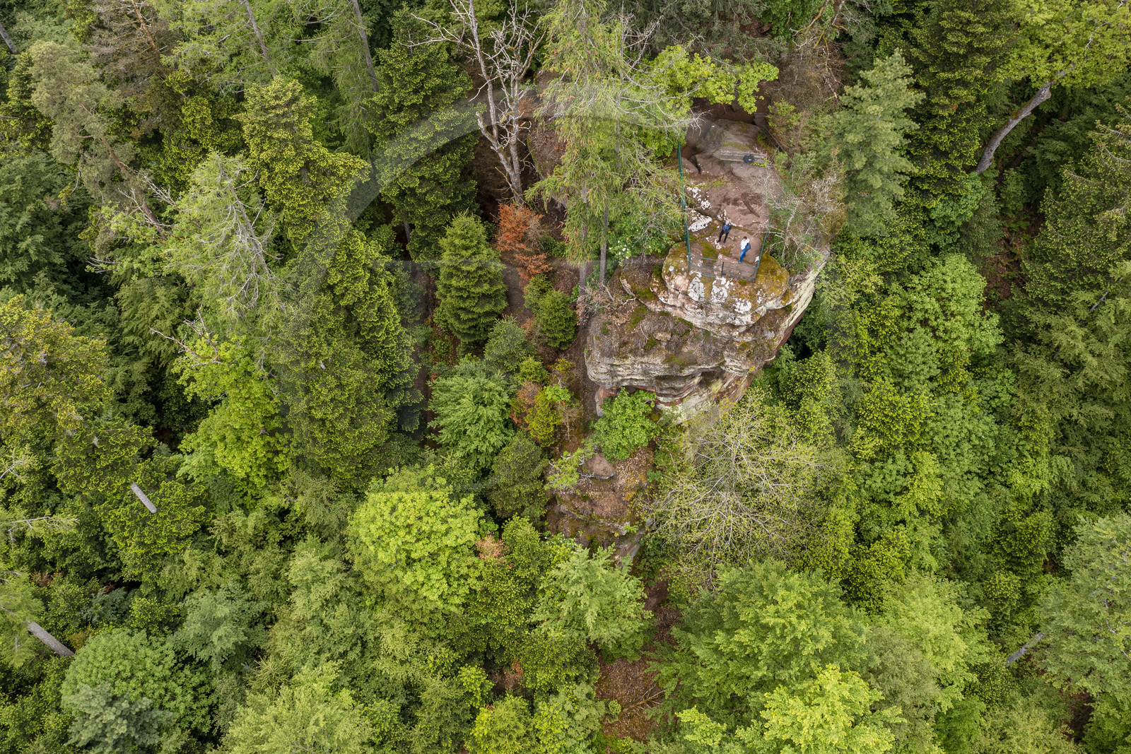 France, Bas-Rhin (67), Parc Naturel régional des Vosges du Nord, La Petite Pierre, le Rocher Blanc, rocher de grès rose du sentier des Trois Roches auquel le lichen clair a donné son nom (vue aérienne)
