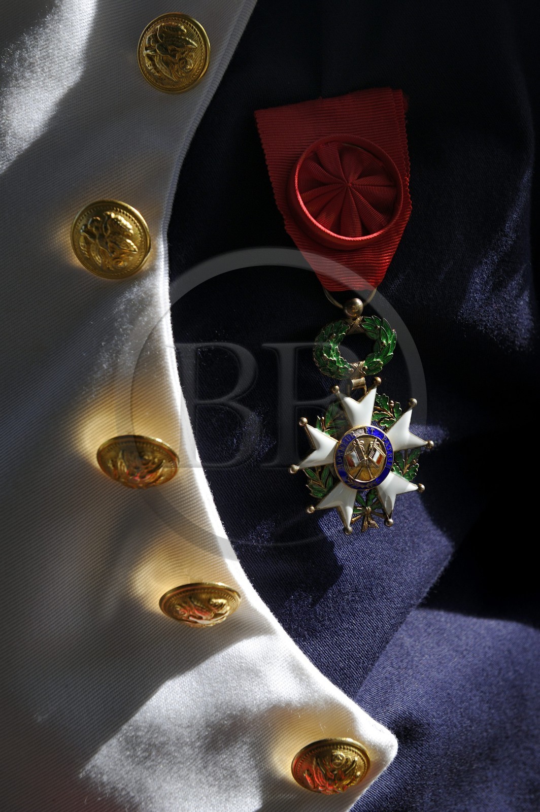 Italy, Tuscany, Elba Island, Portoferraio, the Legion of Honour of the actor who plays Napoleon 1st