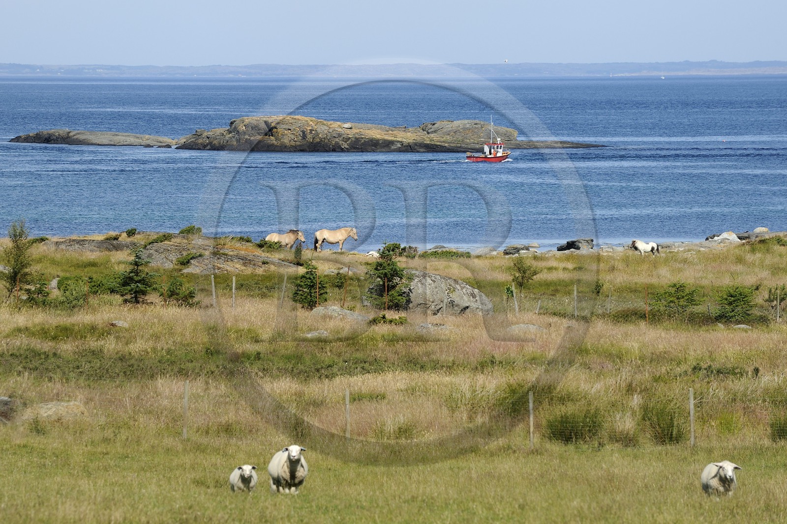 Norway, Rogaland County, surroundings of Stavanger, Bru Island