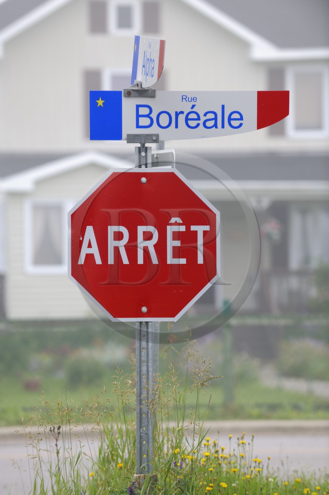 Canada, province du Québec, Côte Nord, Havre-Saint-Pierre, drapeau acadien