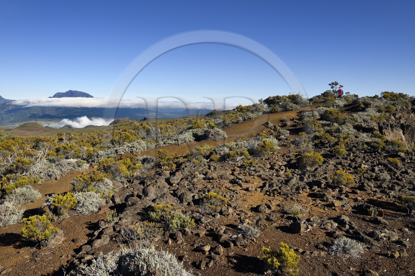 France, Ile de la Reunion, Parc National de la Réunion classé Patrimoine Mondial de l'UNESCO, sur les pentes du volcan de Piton de la Fournaise, randonneur sur le sentier de l'oratoire Ste Thérèse au dessus de la Plaine des Sables, le Piton des Neiges en arrière plan au nord