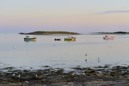 France, Finistere, La Foret Fouesnant, Glenan islands, St Nicolas Island, fishing boats at anchor and Drenec Island in the background