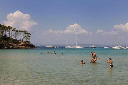 France, Var (83), Iles d'Hyères, parc national de Port-Cros, île de Porquerolles, la Plage Notre Dame