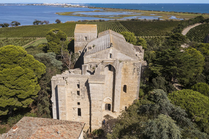 France, Hérault (34), Villeneuve-lès-Maguelone (Palavas-Les-Flots), cathédrale Saint-Pierre-et-Saint-Paul de Maguelone des XIIème et XIIIème siècles entourée de vignes sur son île, l'Etang du Prévost et Palavas-Les-Flots en arrière plan (vue aérienne)