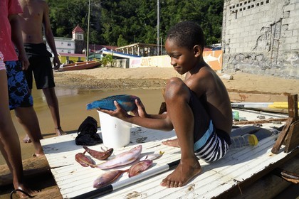 Caribbean, Dominica Island, Soufriere Bay, group of children returning from fishing on Soufrière beach, girl holding a parrotfish (Scaridae)