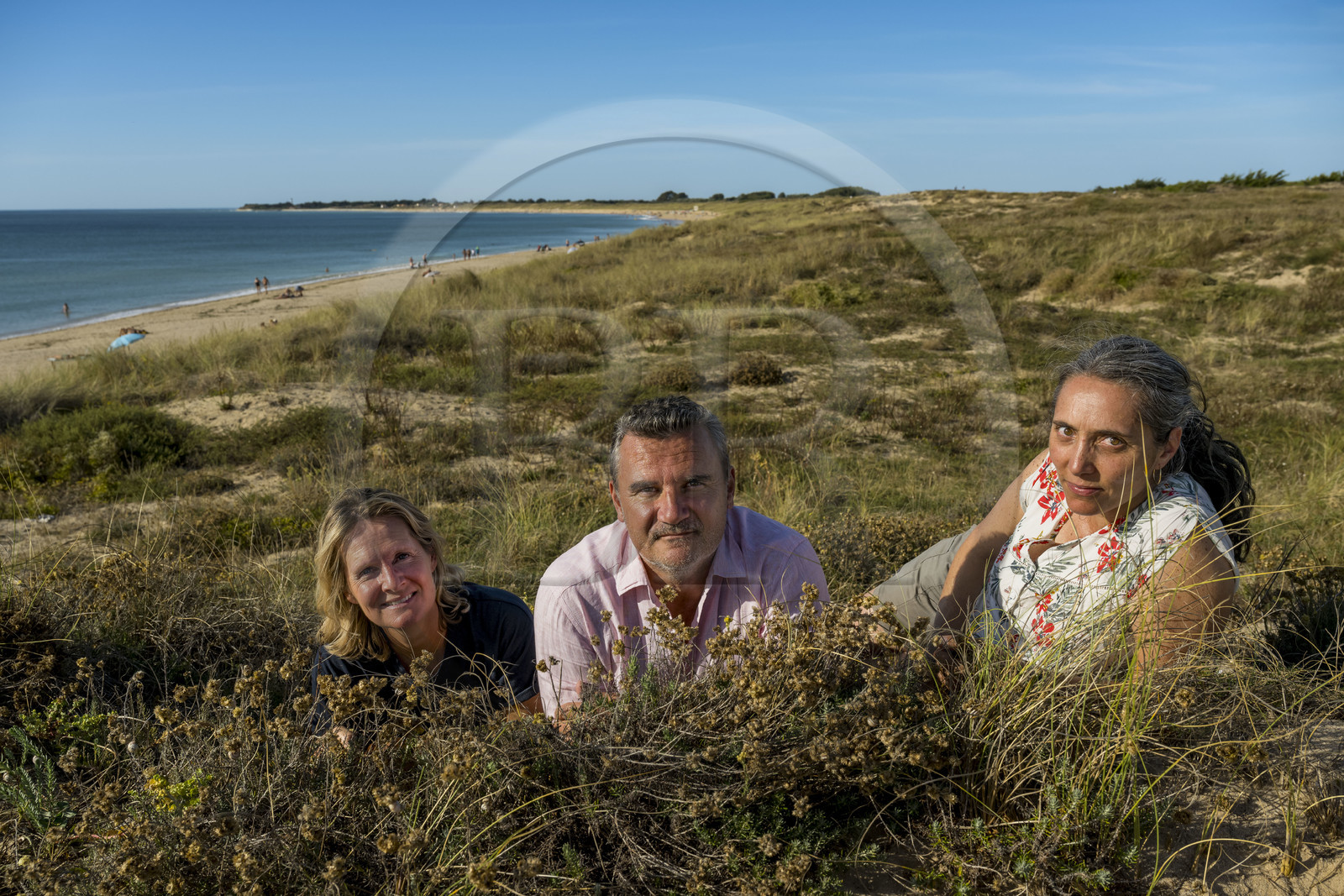 France, Charente Maritime, Oleron island, Saint Georges d'Oléron, Chaucre beach, agronomist Ethel Gauthier  right with Anne-Cécile and Christophe Amigorena, the creators of Melifera Gin, everlasting flower (helichrysum stoechas) in the foreground