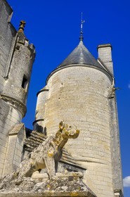 France, Indre-et-Loire (37), Loches, le Palais Royal, statue de chien sur l'escalier des Logis Royaux