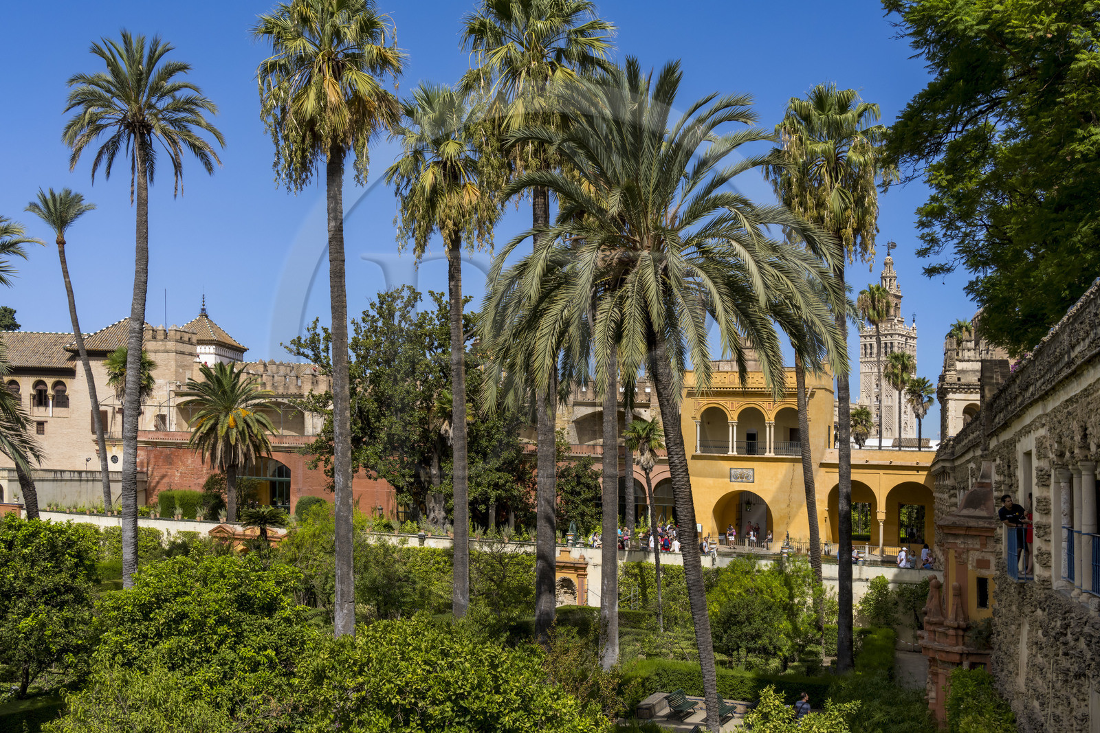 Spain, Andalusia, Seville, the Alcazar of Seville (Reales Alcazares de Sevilla), listed as World Heritage by UNESCO, the gardens and the Palacio Gotico