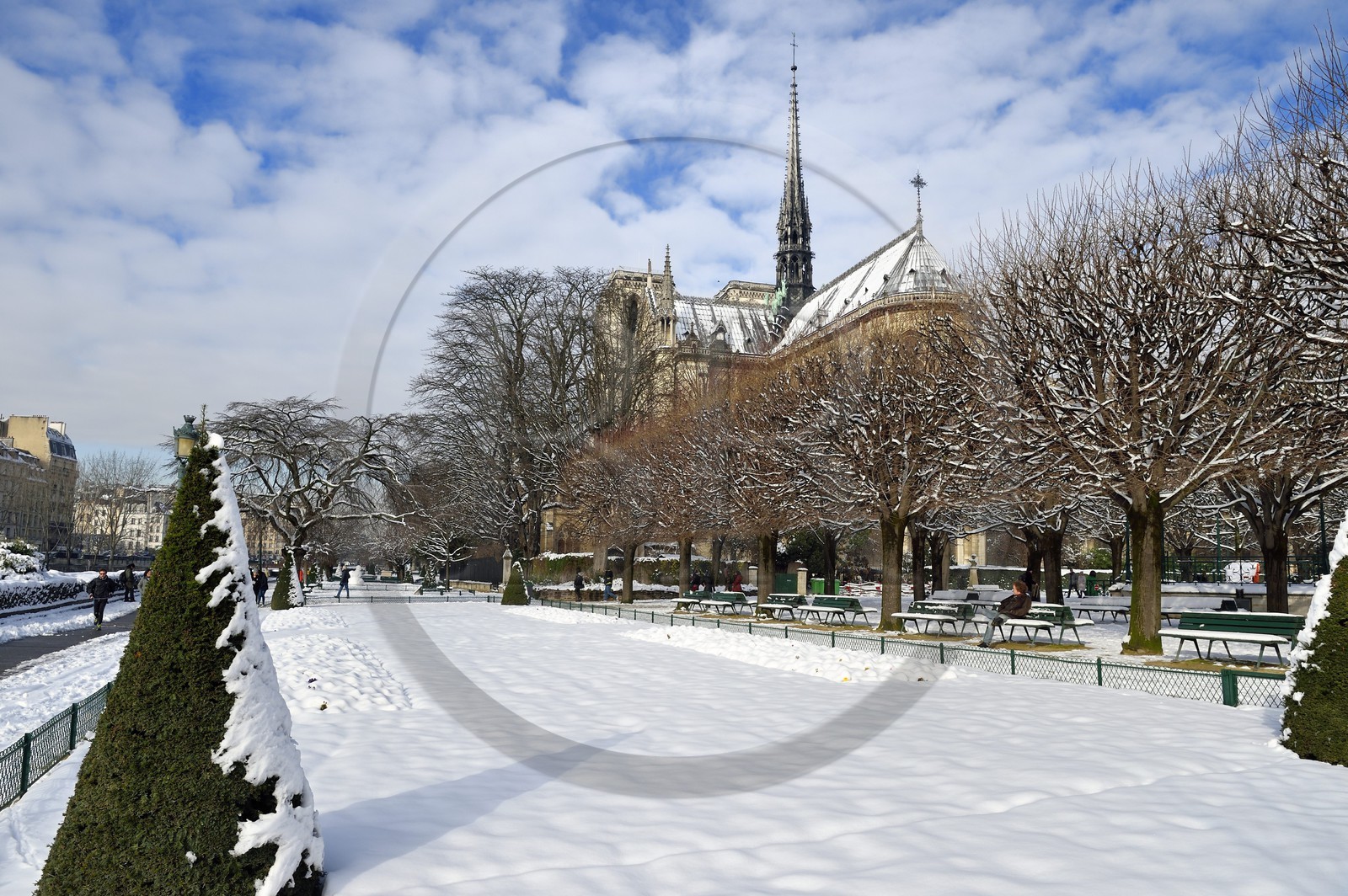 France, Paris (75), les rives de la Seine, classées Patrimoine Mondial de l'UNESCO, la Cathédrale Notre-Dame sous la neige sur l'Ile de la Cité et le square Jean XXIII sur le quai de l'Archevêché