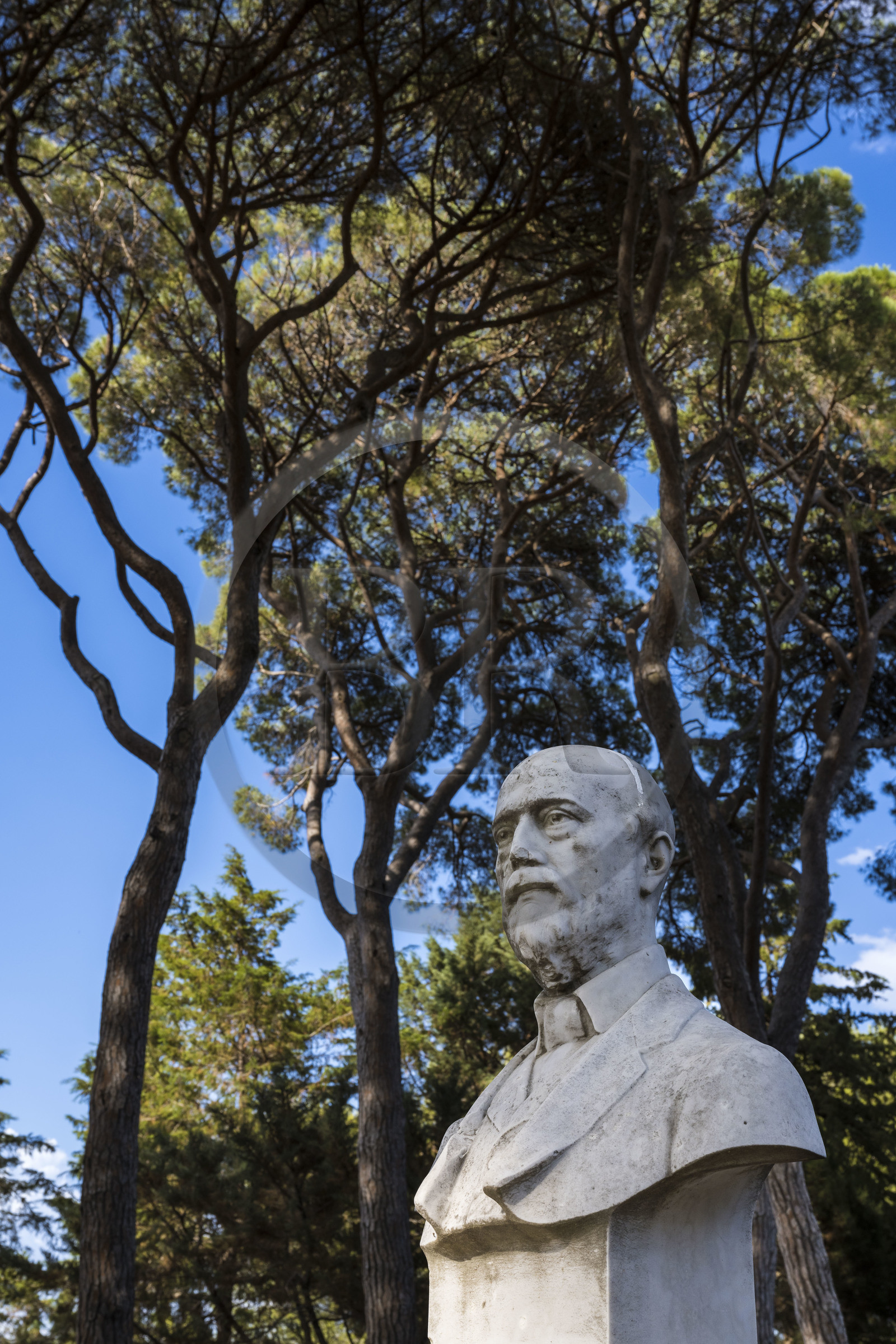 France, Alpes-Maritimes (06), Antibes, Le Jardin Botanique de la Villa Thuret (rattachée à l'INRAE), labellisé Jardin Remarquable et Arbre Remarquable, buste du botaniste et algologue Gustave Thuret sous les pins parasols