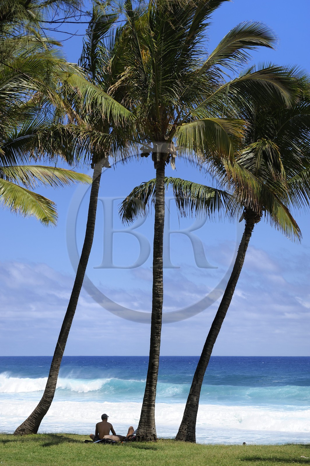 France, Reunion Island (French overseas department), southern coast, Grande Anse beach