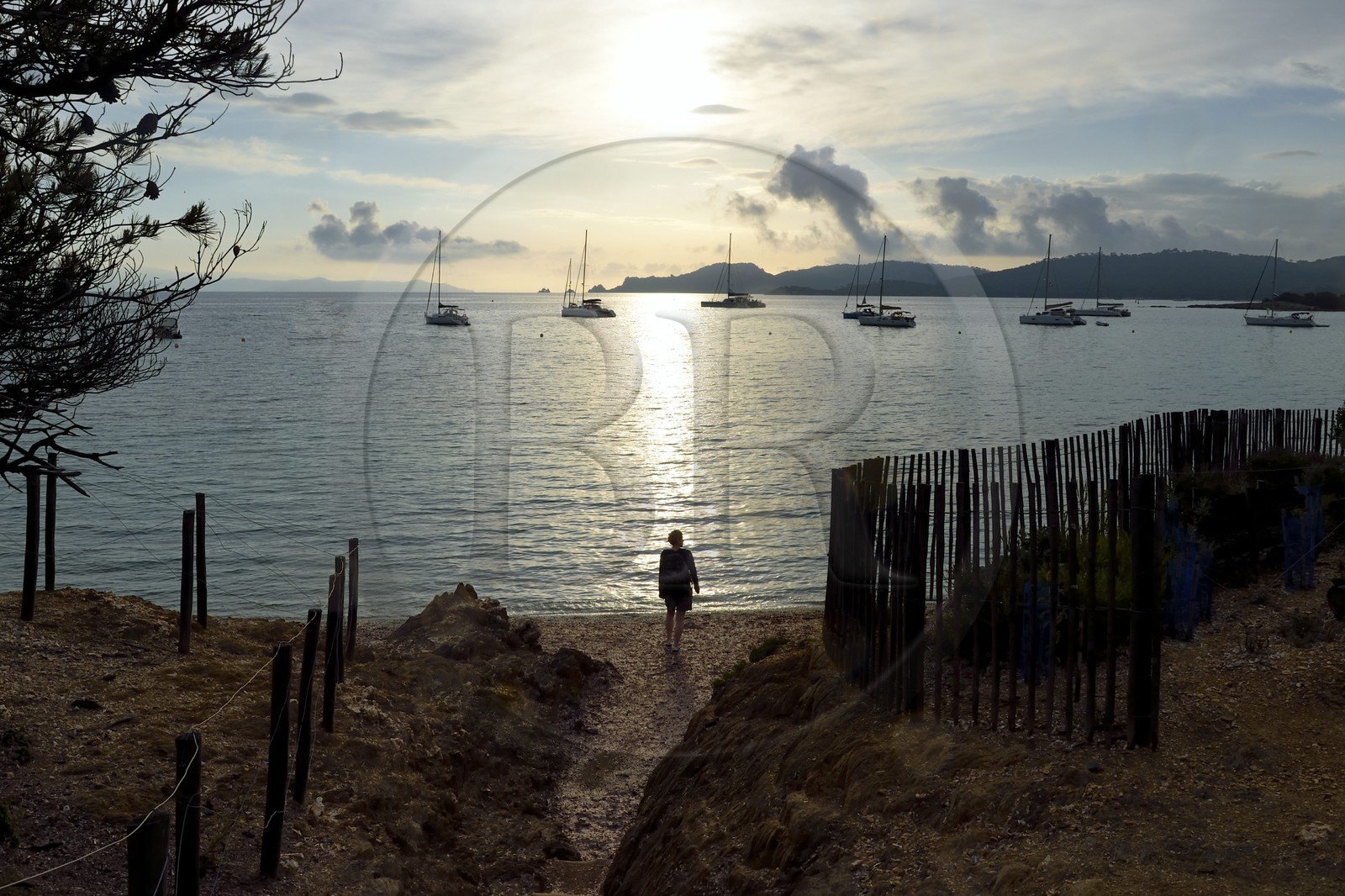 France, Var (83), Iles d'Hyères, parc national de Port Cros, Ile de Porquerolles, Anse du bon Renaud, plage d'Argent