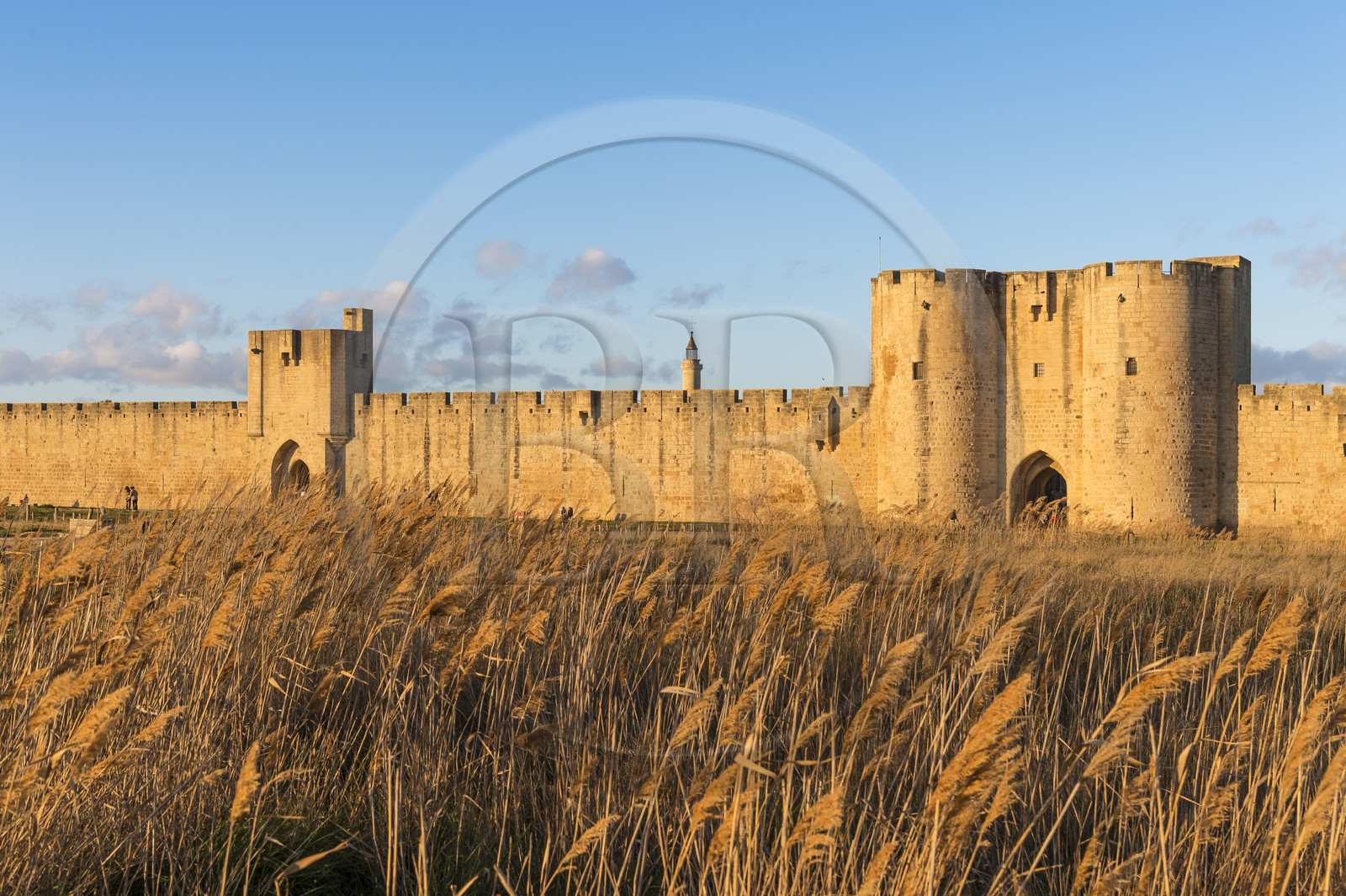 France, Gard (30), Aigues-Mortes, tours et remparts Sud