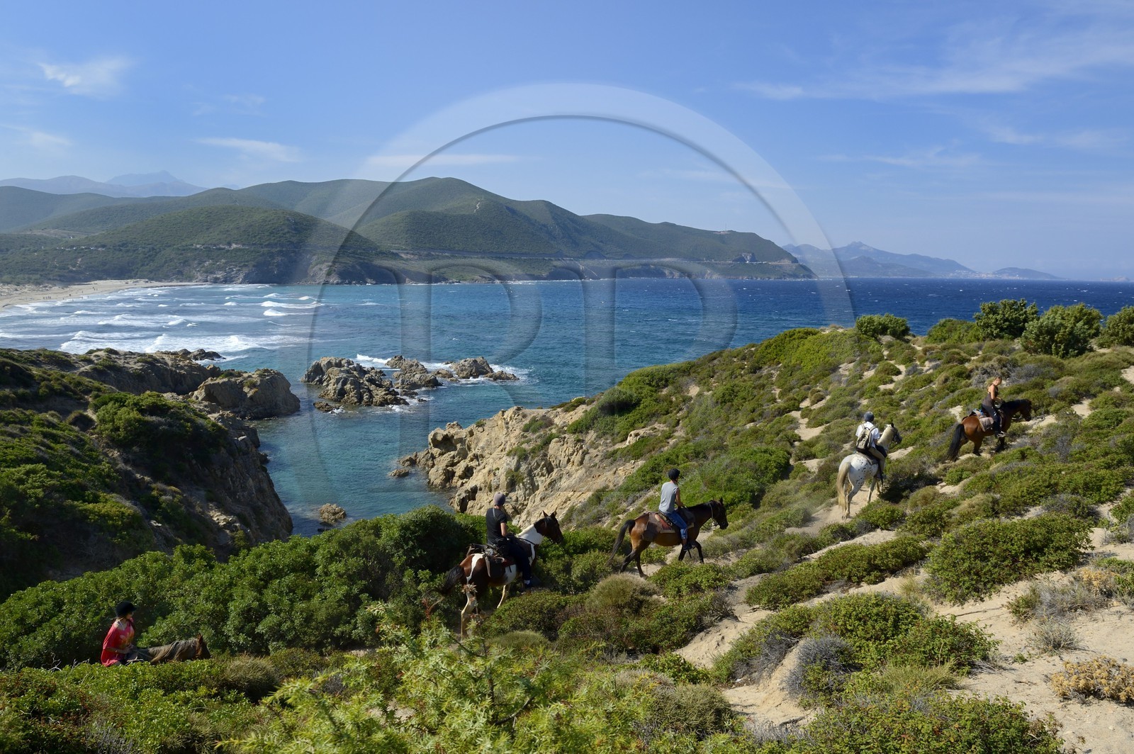France, Haute-Corse (2B), Nebbio, désert des Agriates, Anse de Peraiola, cavaliers à l'Est de la plage d'Ostriconi
