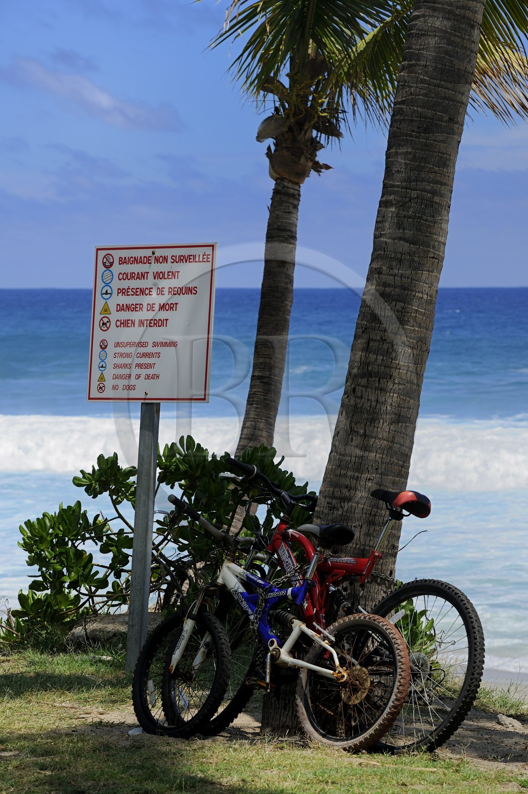 France, île de la Réunion, la côte sud, plage de Grand-Anse, panneau annoncant les dangers potentiels de baignade