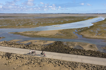 France, Vendée (85), île de Noirmoutier, Barbatre, cyclistes sur le passage du Gois, chaussée submersible qui relie l'île au continent à marrée basse (vue aérienne)
