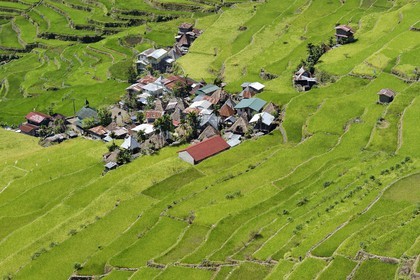 Philippines, province d'Ifugao, les rizières en terrasses de Banaue autour du village de Batad, classées Patrimoine Mondial de l'UNESCO