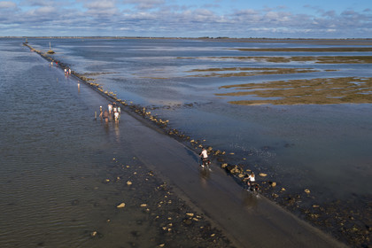 France, Vendée (85), île de Noirmoutier, Barbatre, cyclistes sur le passage du Gois à marée montante, chaussée submersible qui relie l'île au continent à marrée basse (vue aérienne)