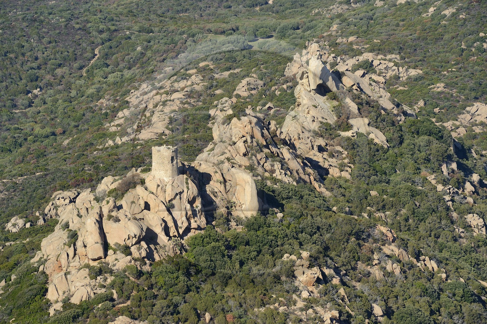 France, Corse du Sud, Cala de Roccapina natural site, Roccapina genoese tower and Lion rock (aerial view)