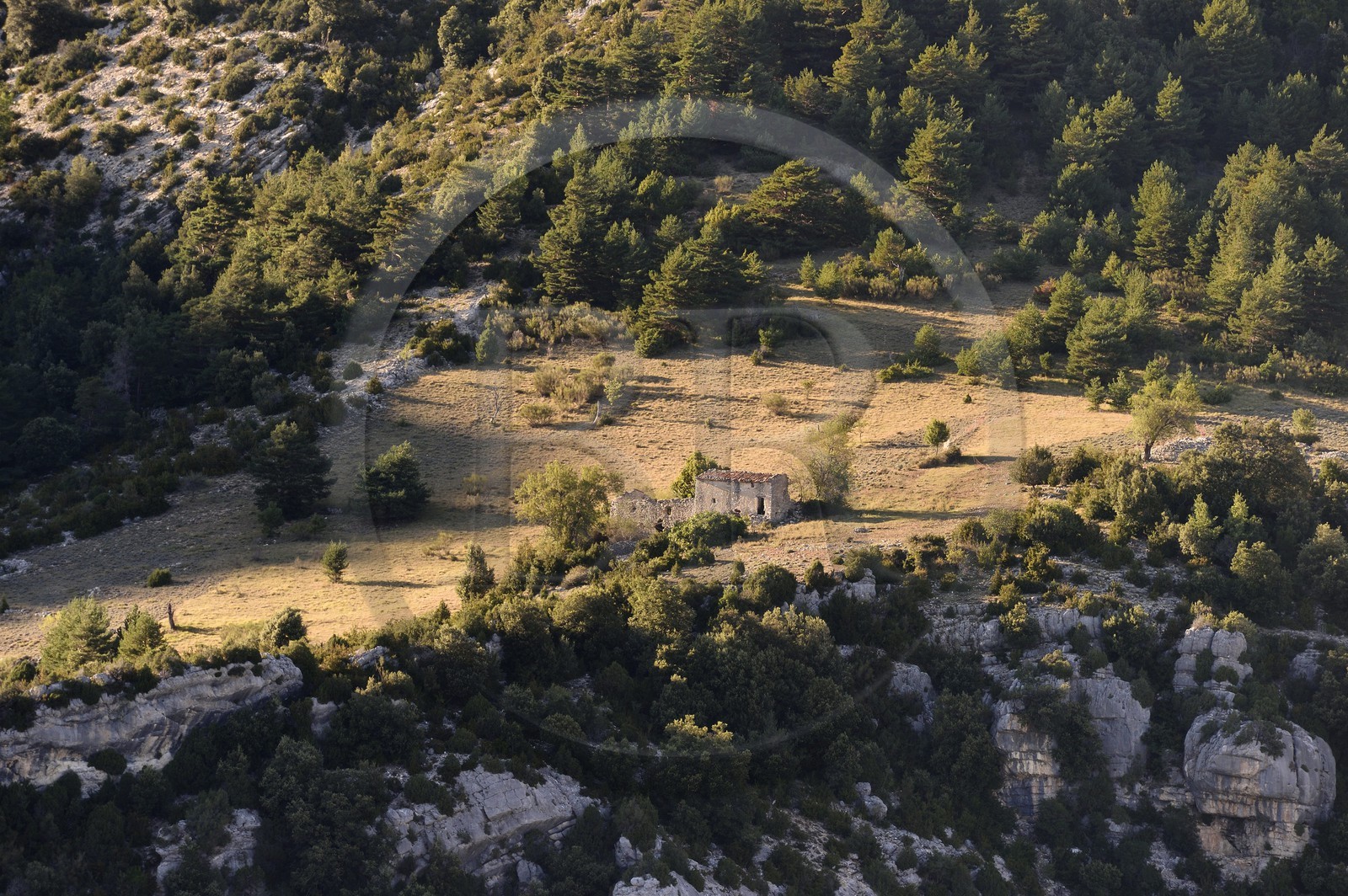 France, Alpes-de-Haute-Provence (04), Parc Naturel Régional du Verdon, ruine d'une ferme isolée sur les pentes des Gorges du Verdon face au tunnel du Fayet