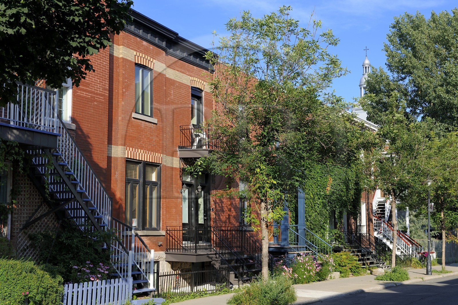 Canada, province de Québec, Montréal, quartier du Plateau Mont Royal