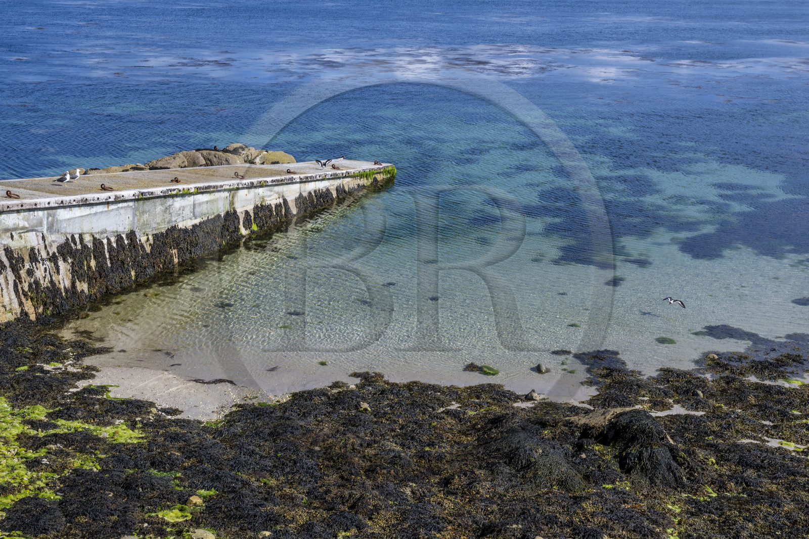 France, Finistère (29), Pays des Abers, jetée de l'Ile Vierge dans l'archipel de Lilia