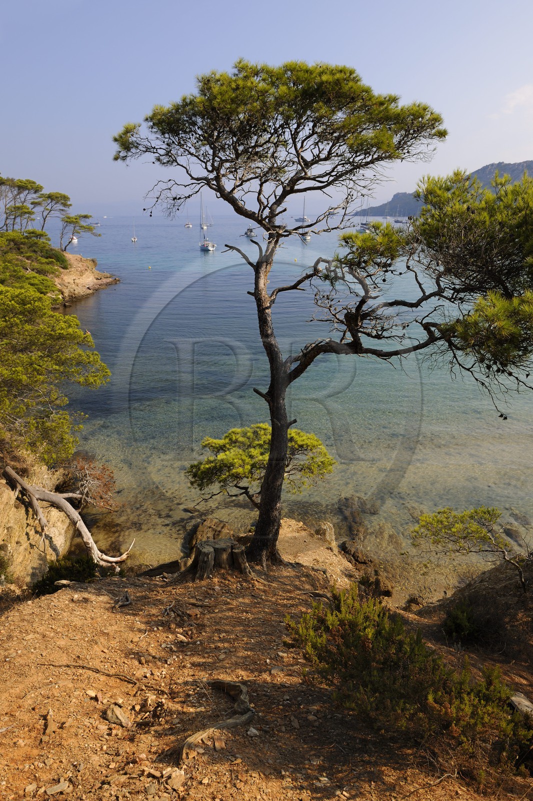 France, Var, Iles d'Hyeres, National Park of Port Cros, ile de Porquerolles, Plage Notre Dame